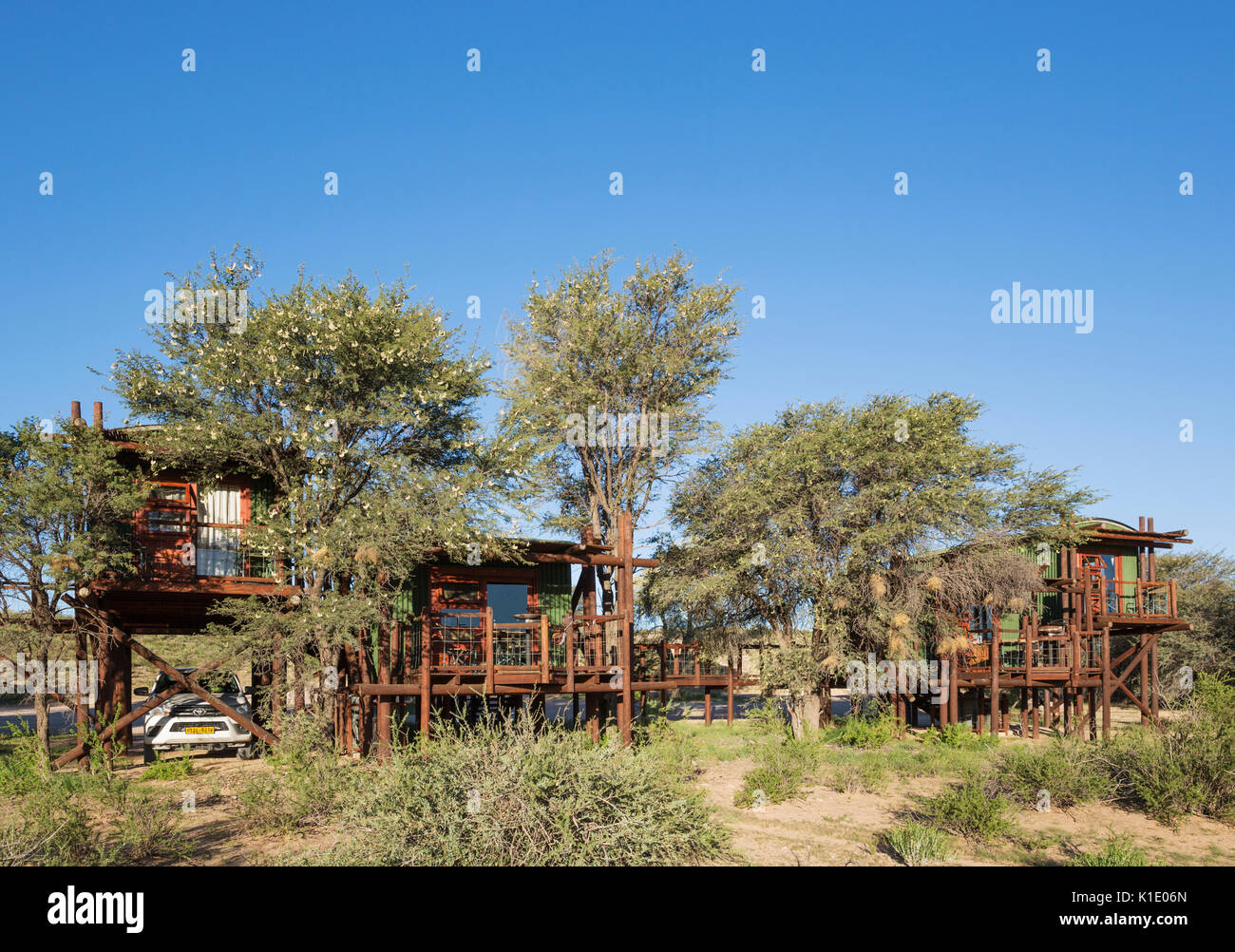Urikaarus Wildnis Camp mit stelzenläufer Kabinen an der Bank von trockenen Auob Riverbed, Camelthorn Bäume (Acacia Erioloba), Kalahari Wüste Stockfoto