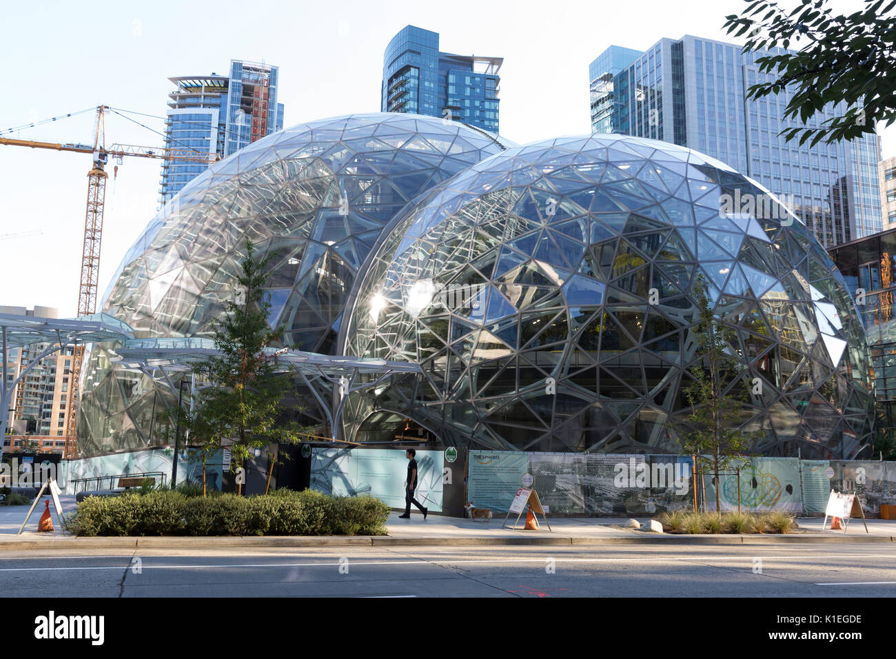 Seattle, Washington: Der Amazon Sphären im Bau an der Amazon Urban Campus  im Belltown Nachbarschaft. Die geodätischen Strukturen, die zusätzliche  Büro-, Einzelhandels- und einen botanischen Garten Haus, Anfang 2018 zu  öffnen. Die