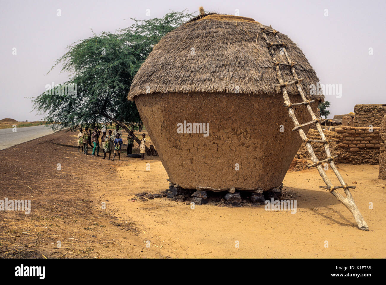 Niger, Westafrika, Dorf Getreidespeicher und Leiter. Stockfoto
