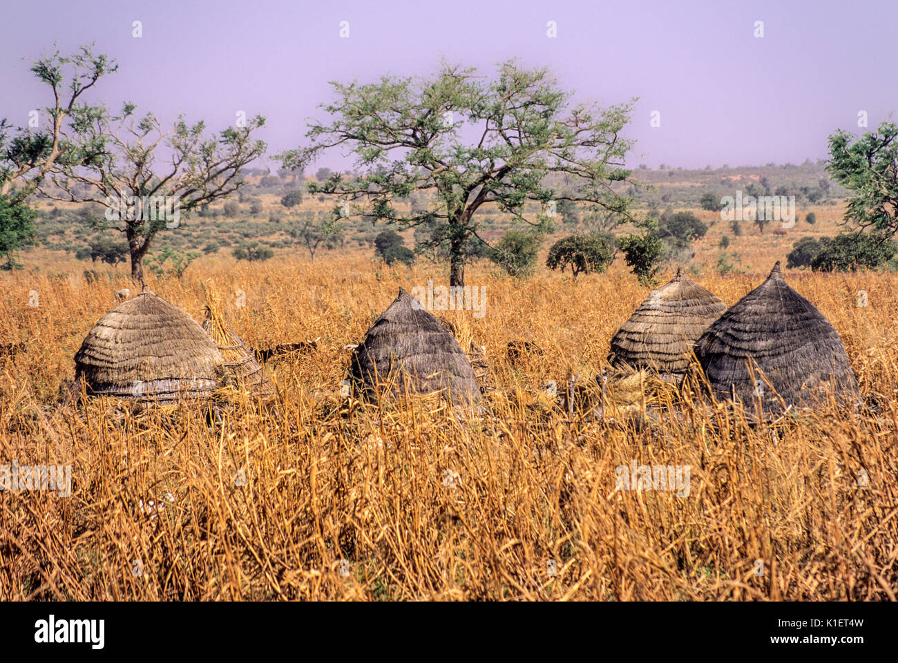 Niger, Drouel Dorf Getreidespeicher, West Afrika, südwestliche Niger. Stockfoto