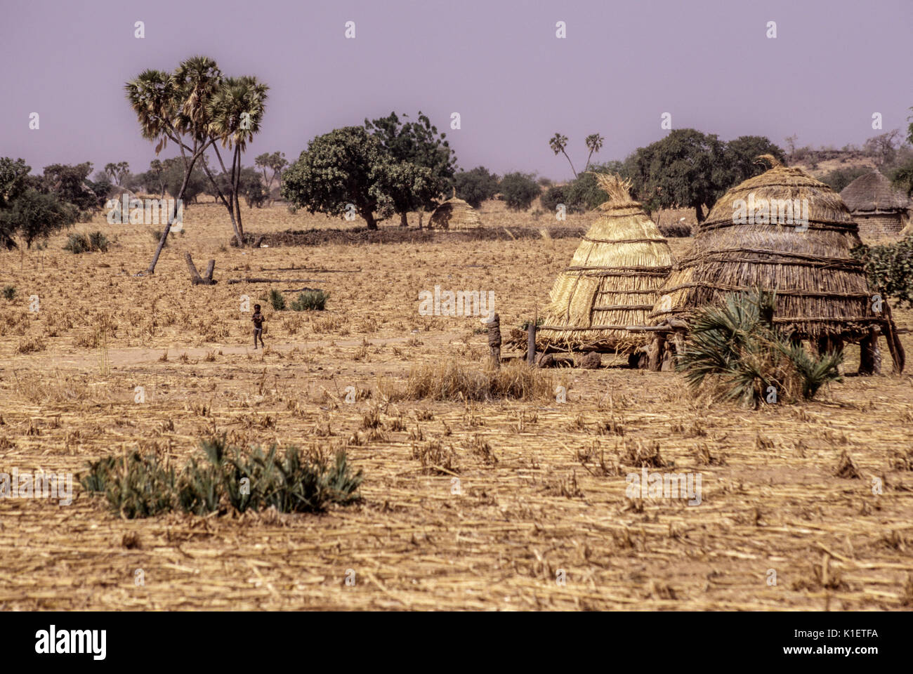 Niger, Delaquara Village, West Afrika. Familie Getreidespeicher. Stockfoto