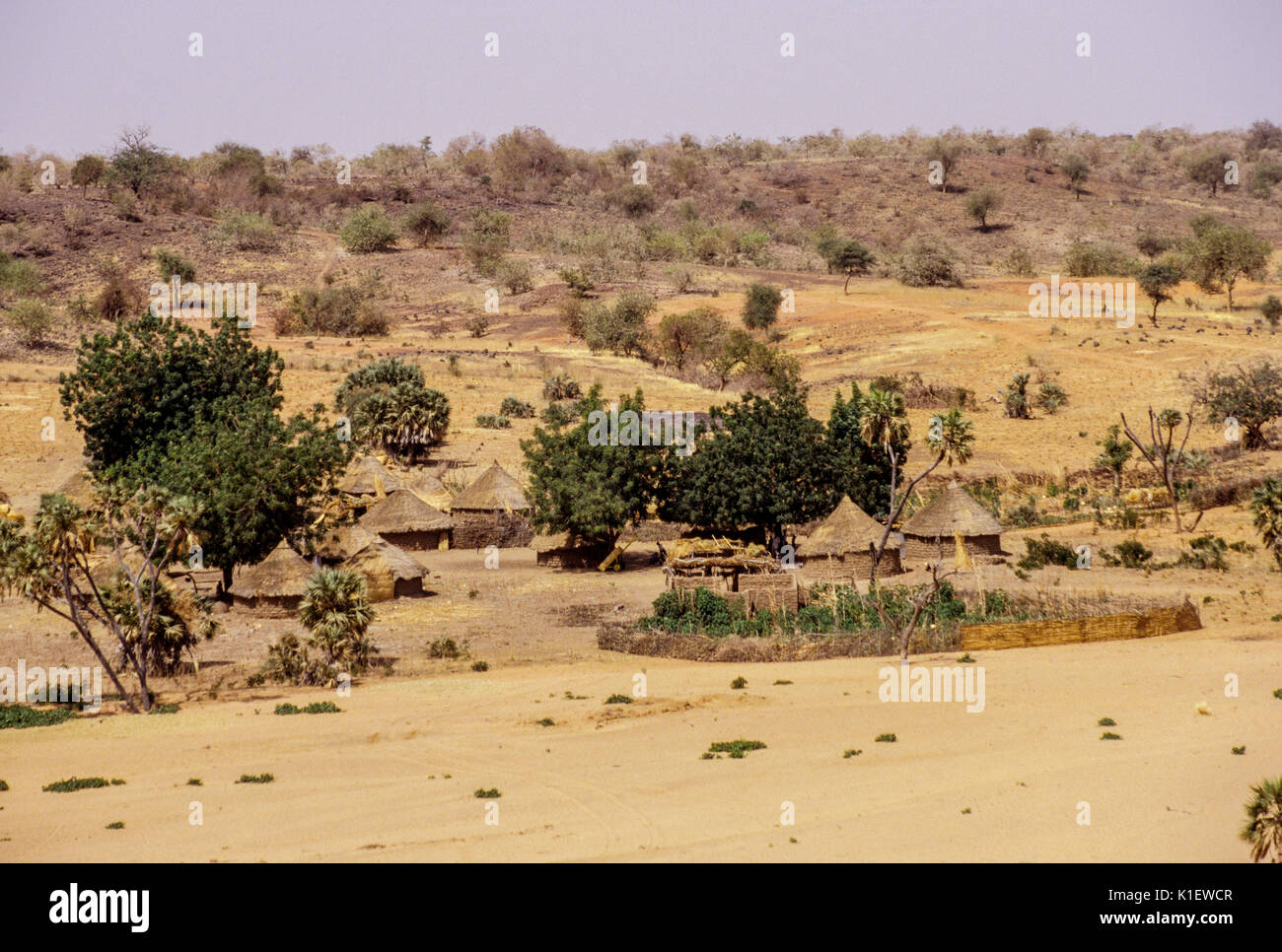 Niger, Barkewa Dorf in der trockenen Jahreszeit, semi-ariden Sahel, West Afrika. Stockfoto