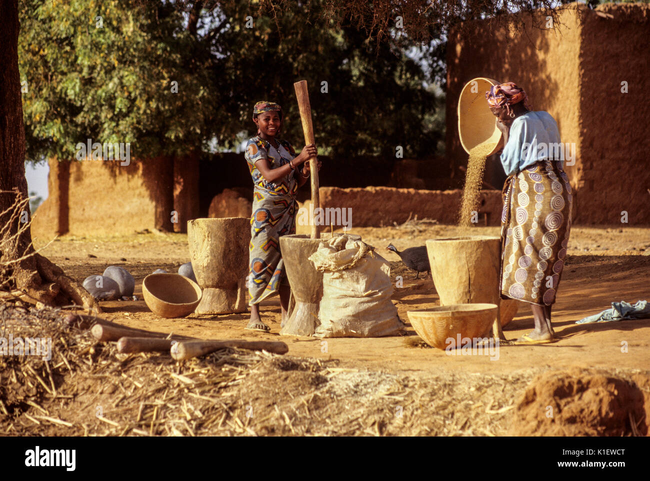 Niger, Westafrika. Dorf Frauen schlagen und Sichten Hirse Mehl in den späten Nachmittag. Stockfoto