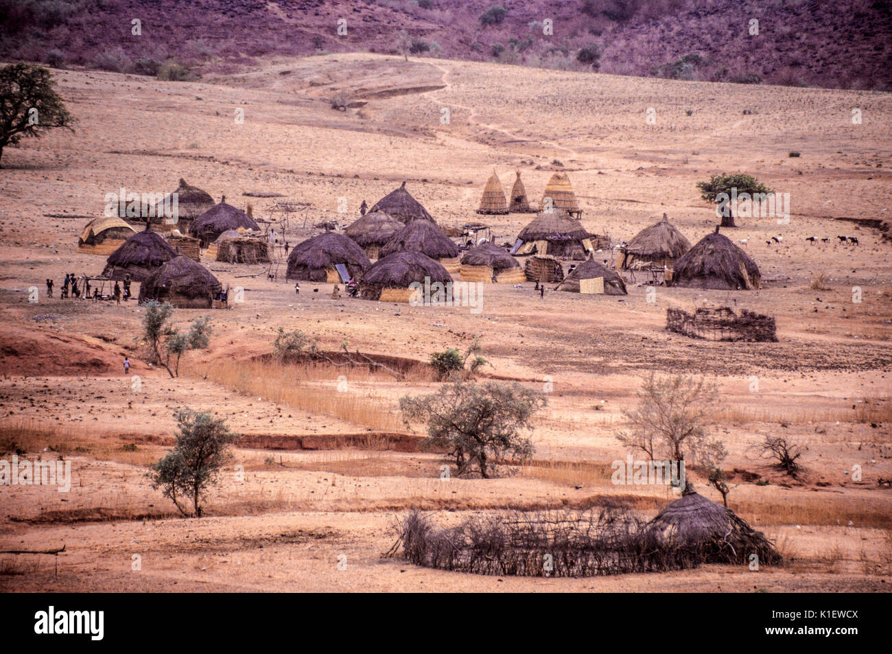 Niger, Westafrika. Harmattan Dunst in der Luft über Fulbe Dorf, Trockenzeit in der Sahelzone. Stockfoto