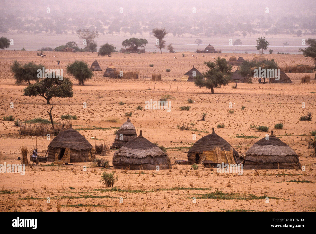 Niger, Westafrika. Harmattan Dunst in der Luft über Fulbe Dorf, Trockenzeit in der Sahelzone. Stockfoto
