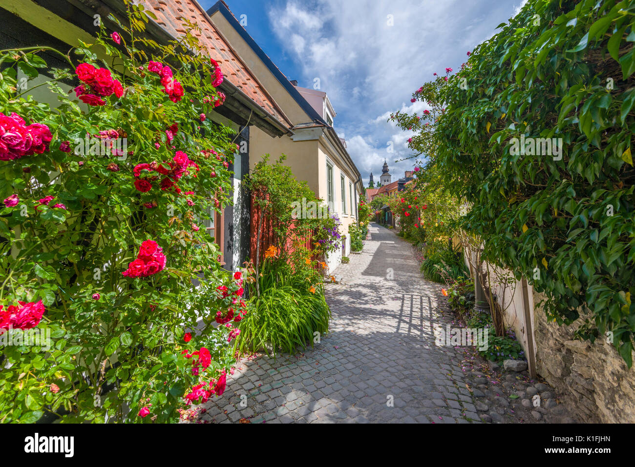 In der alten Hansestadt Visby auf Gotland Fiskargränd Insel in der Ostsee, Schweden Stockfoto