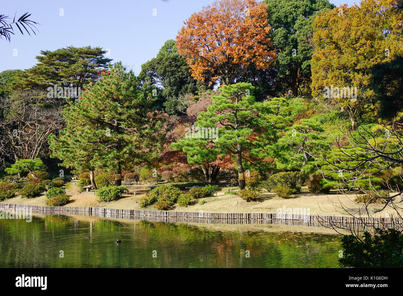 Rikugien Park mit dem Teich im Herbst in Tokio, Japan. Tokyo, Japan's geschäftige Hauptstadt, mischt das Moderne und das Traditionelle. Stockfoto