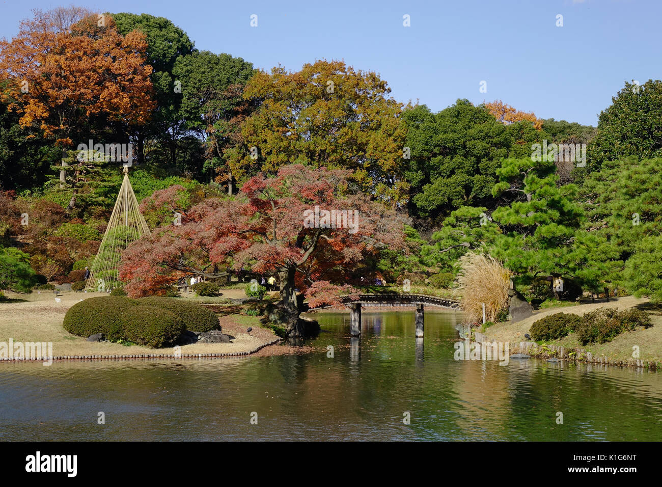 Rikugien Park mit dem Teich im Herbst in Tokio, Japan. Metropolitan Tokyo hat die größte Volkswirtschaft der Welt. Stockfoto