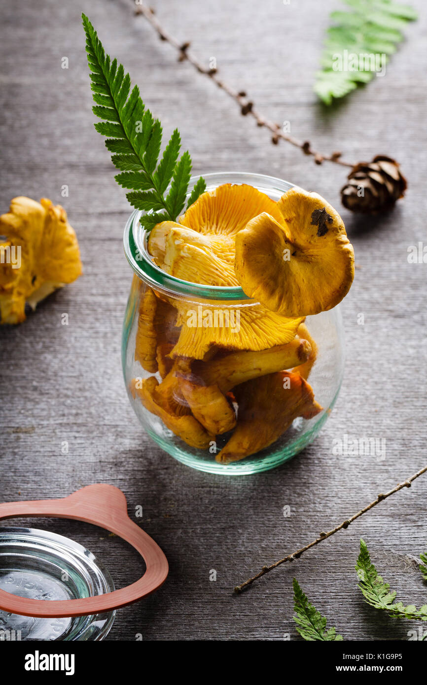 Pfifferlinge im Glas Glas mit Farn Blatt. Machen Konserven von gelben  Pilzen Stockfotografie - Alamy