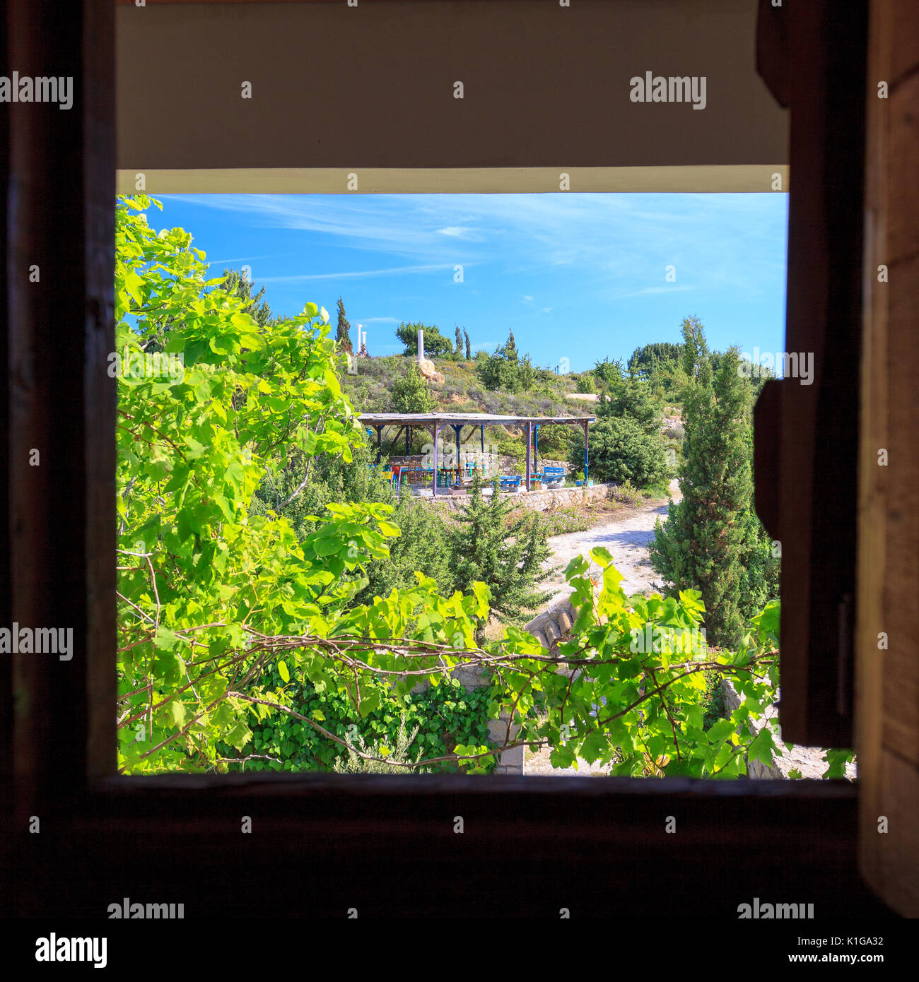 Fassade der Balkon von grünen Reben bewachsen. Stockfoto