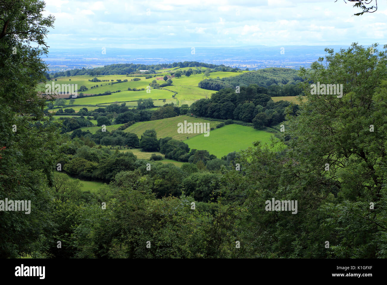 Blick auf die Hügel von sneck yate Bank über boltby, Thirsk, North Yorkshire, England, Großbritannien Stockfoto