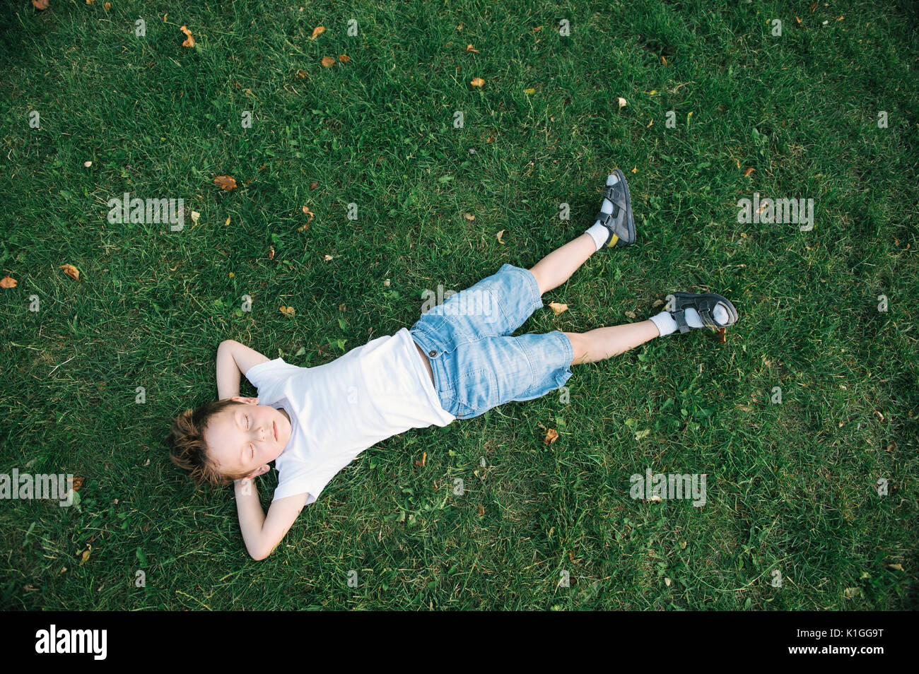 Träumen Sie süß Zicklein auf dem grünen Rasen unter den gefallenen Blätter liegen im Park Stockfoto