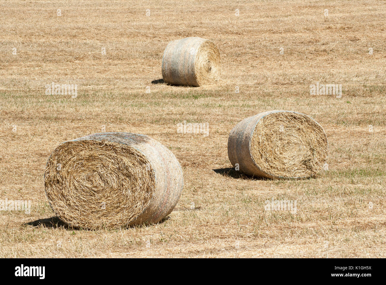 Toskana - 2. JUNI: Heuballen in das Feld ein. Val d'Orcia, auf Mai 31,2017, Toskana, Italien. Stockfoto