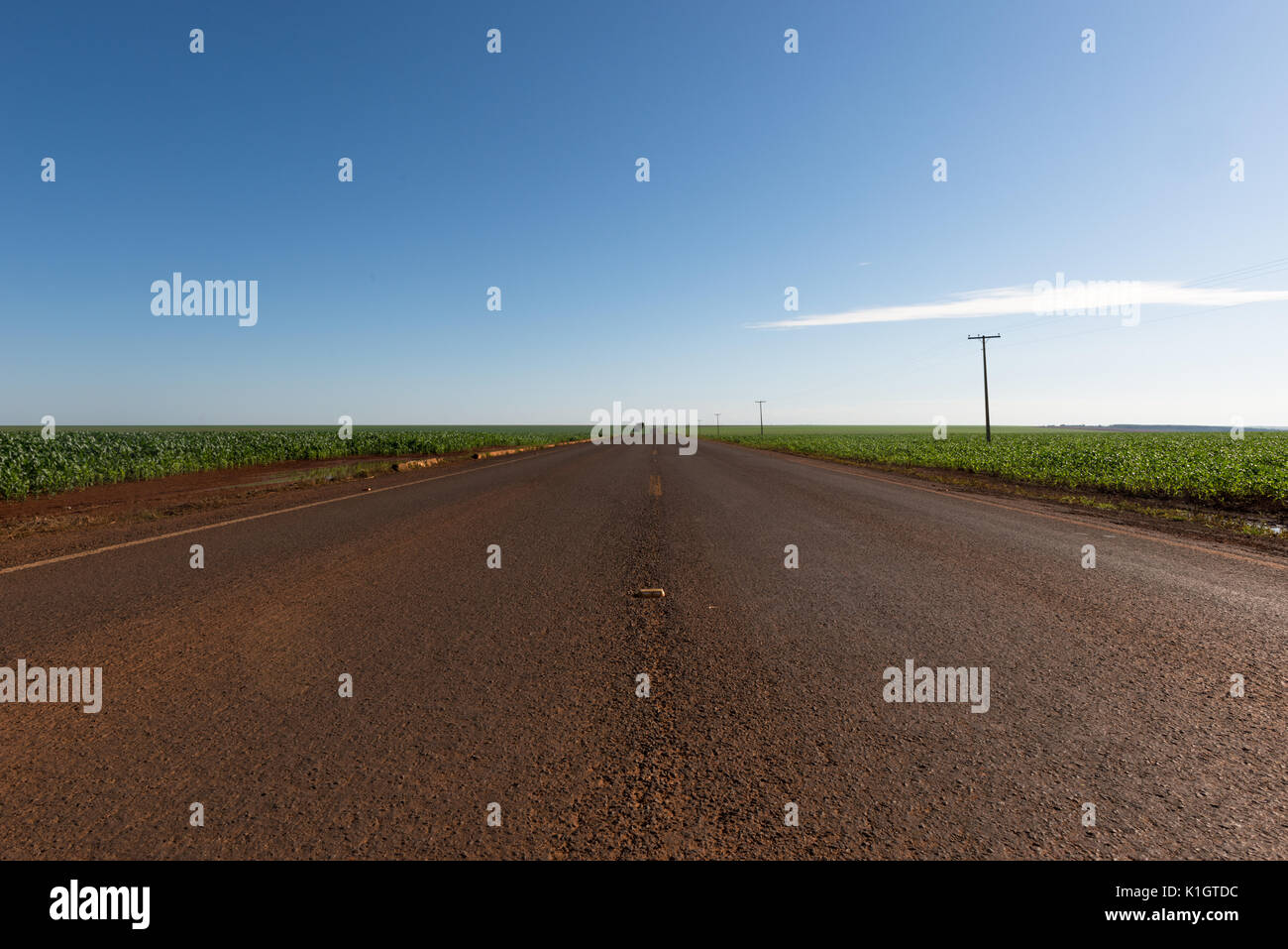 An empty road crossing the vast agricultural landscape of Goiás, Central Brazil Stockfoto
