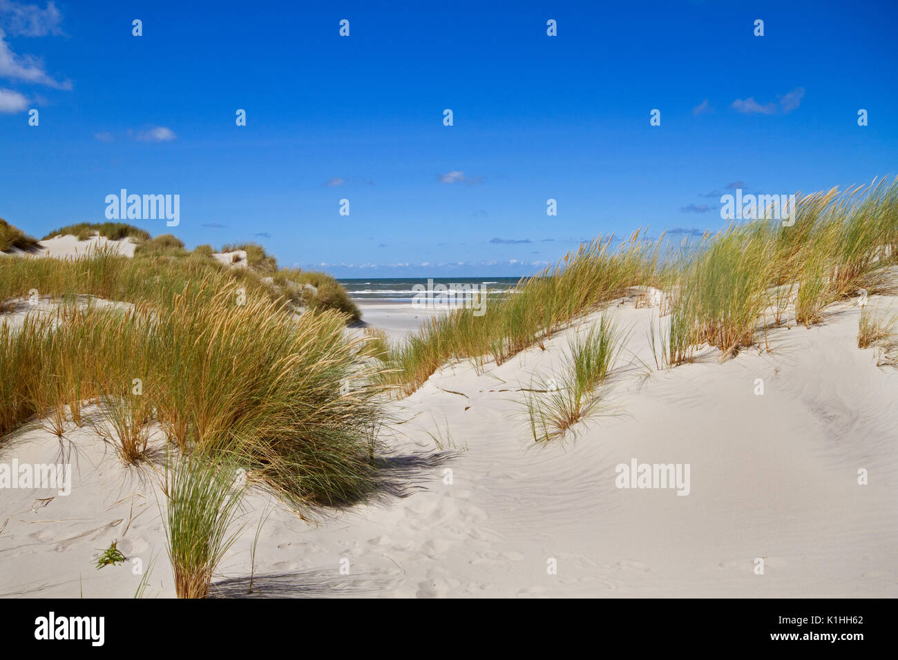 Blick auf den Strand und das Meer zwischen zwei Dünen mit Marram Gras gewachsen Stockfoto