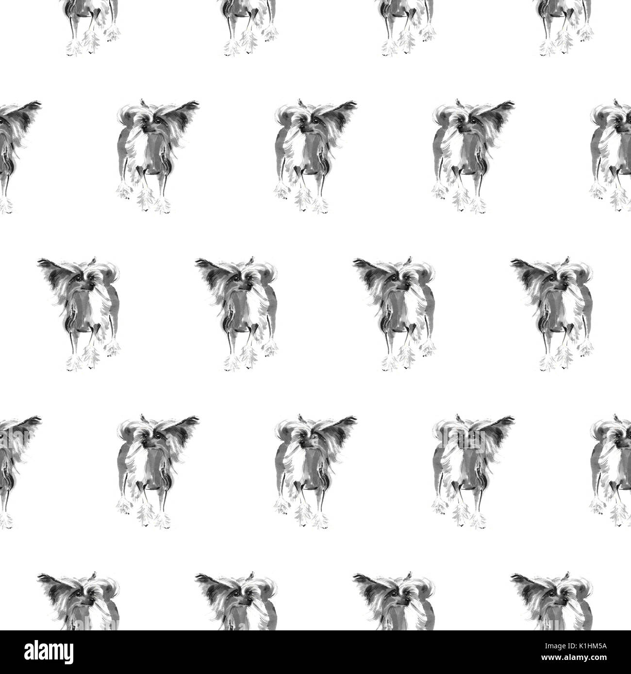 Nahtlose Muster mit chinees Crested dogs, handgefertigte Tuschemalerei, auf weißem Hintergrund. Chinesisches Tierzeichen Hintergrund. Textile Design. Stockfoto