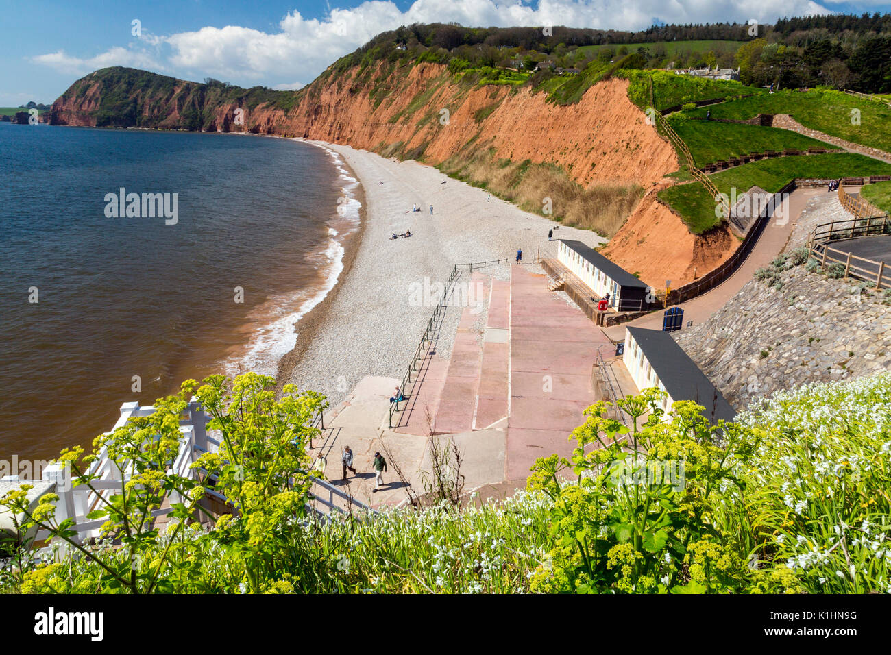 Blick nach Westen vom Connaught Gardens in Sidmouth auf den hoch aufragenden Sandsteinfelsen auf der Jurassic Coast, Devon, England, Großbritannien Stockfoto
