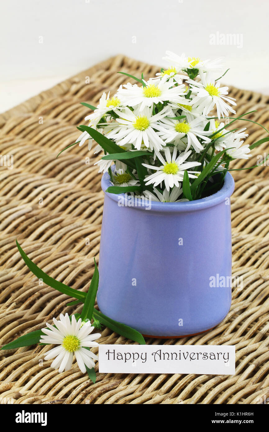 Herzlichen Glückwunsch zum Jubiläum Karte mit weißen Gänseblümchen in blauer Vase Stockfoto