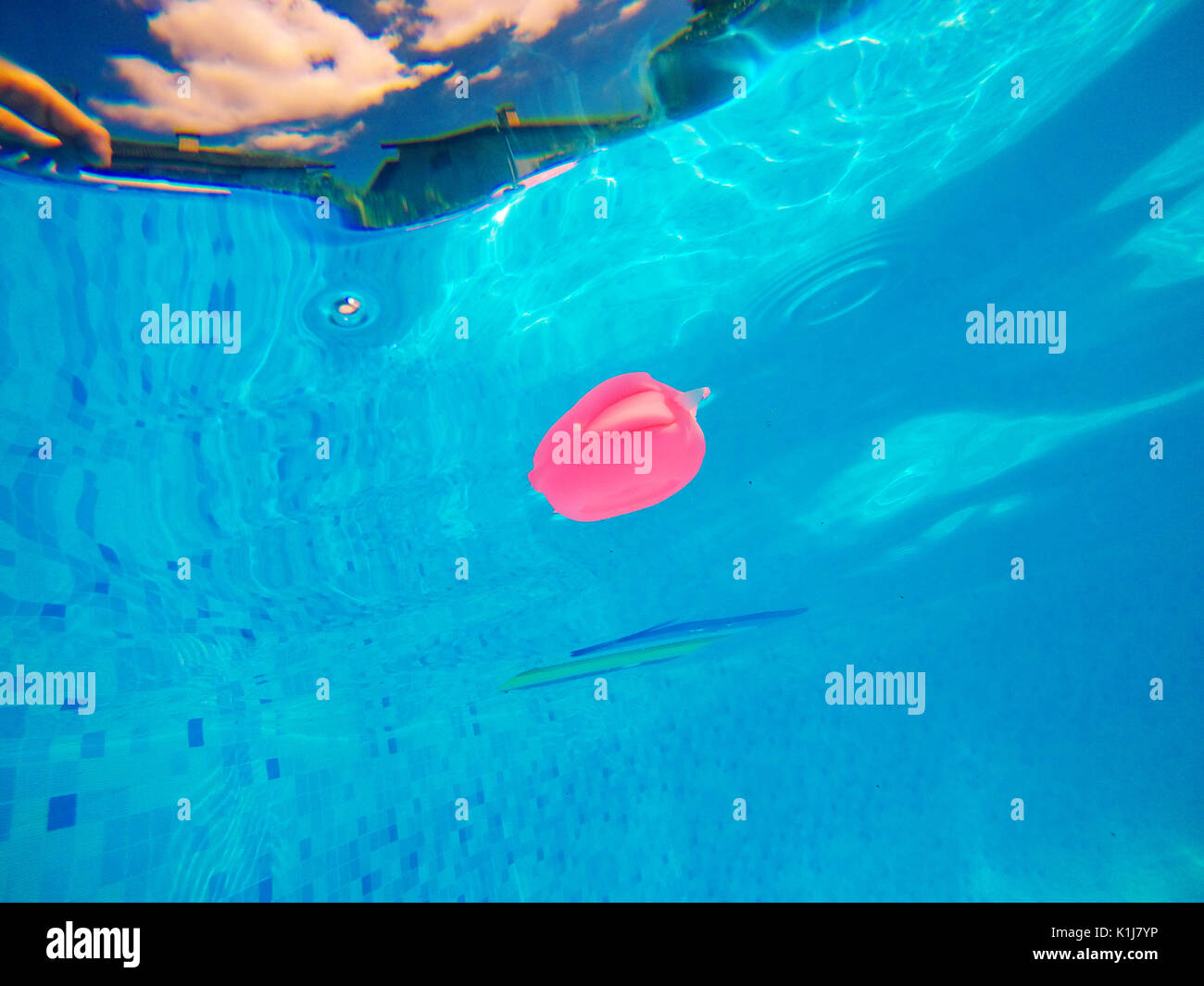 Generische Kautschuk Fisch Spielzeug schweben im Schwimmbad, im Sommer Aktivität und Genuss, Unterwasser-Blick Stockfoto