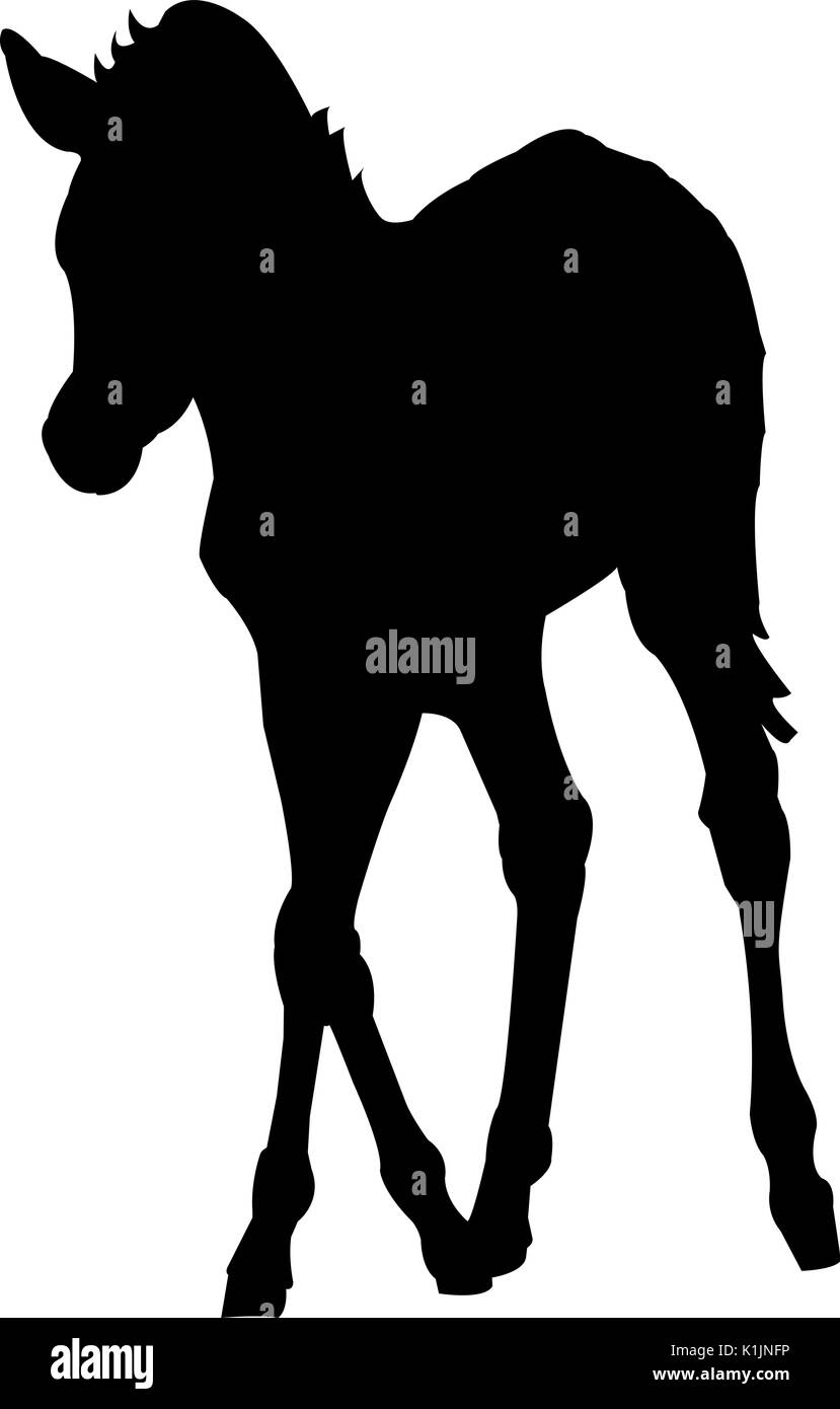 Blick auf die Silhouette eines Zebras Kätzchen Stock Vektor
