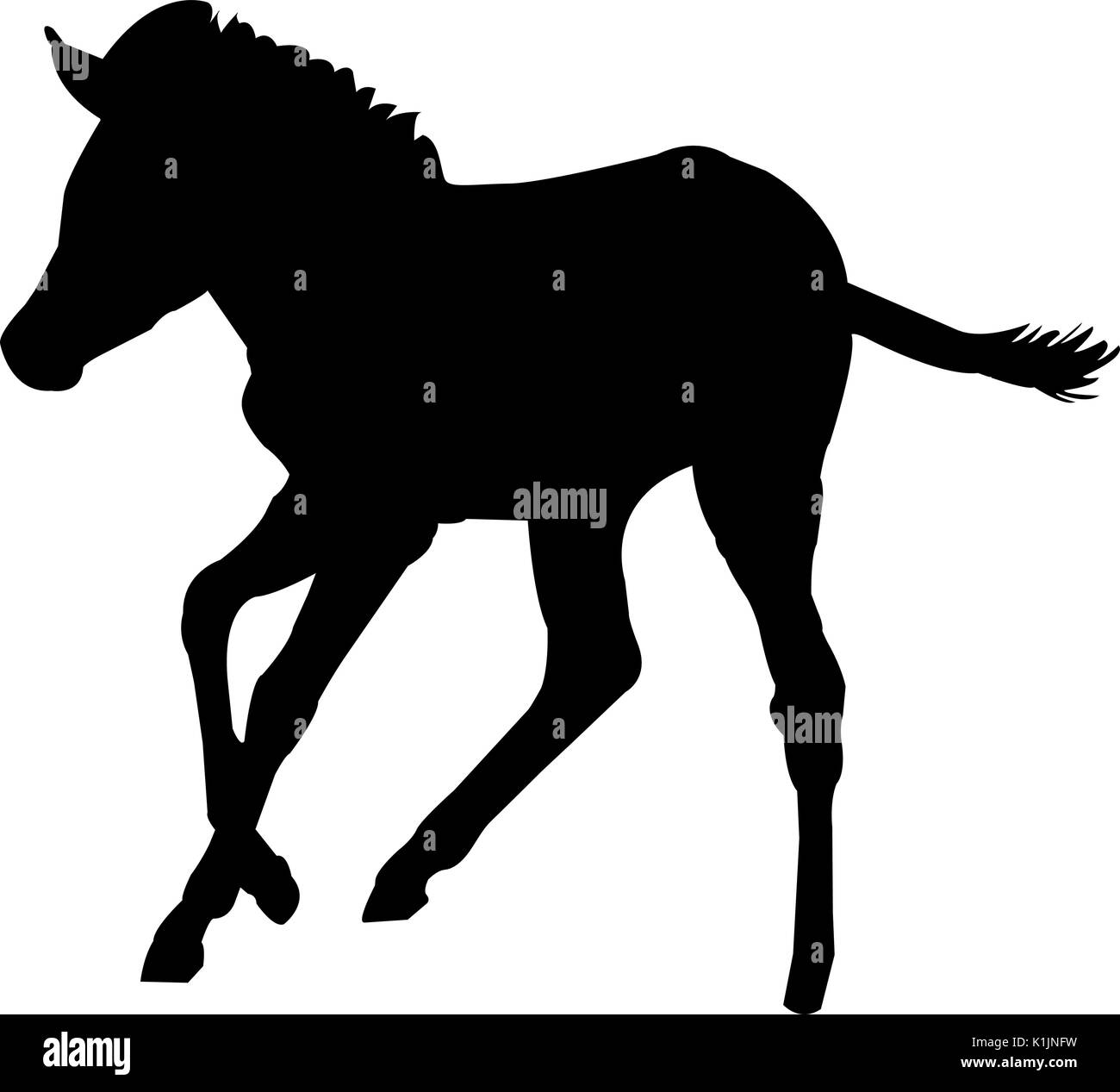 Blick auf die Silhouette eines Zebras Kätzchen Stock Vektor