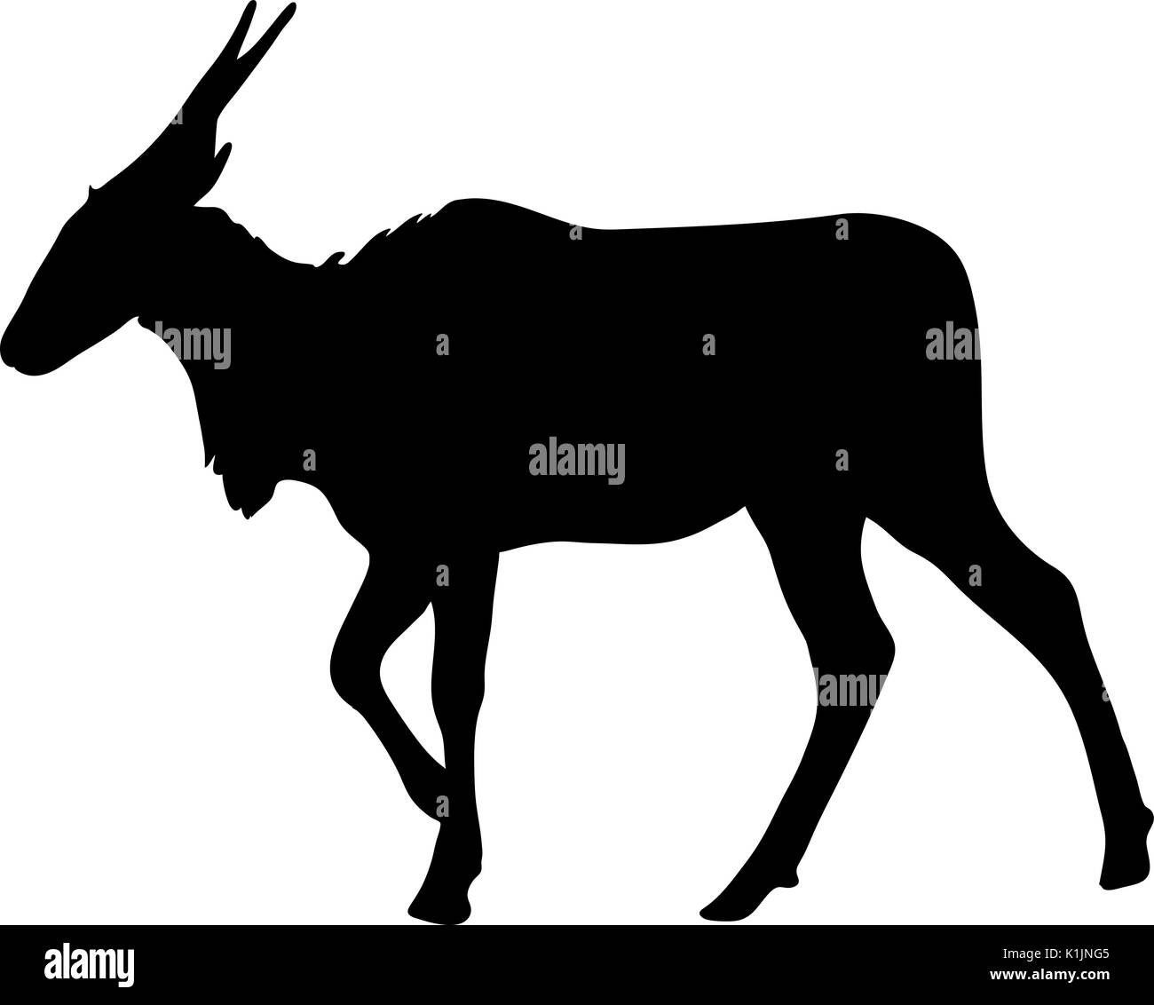 Blick auf die Silhouette eines gemeinsamen eland Antilope Stock Vektor