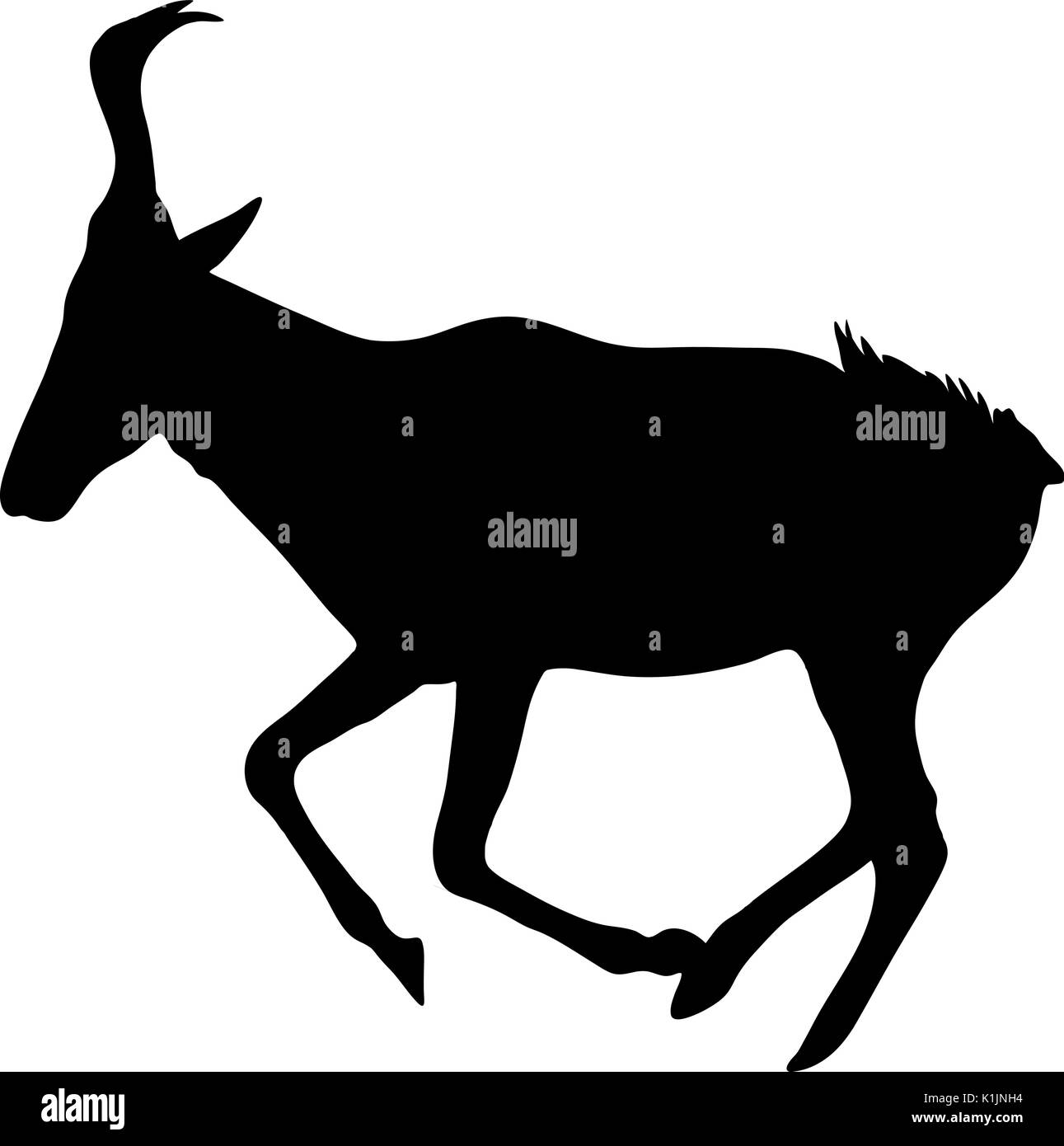 Blick auf die Silhouette eines Red Hartebeest Stock Vektor