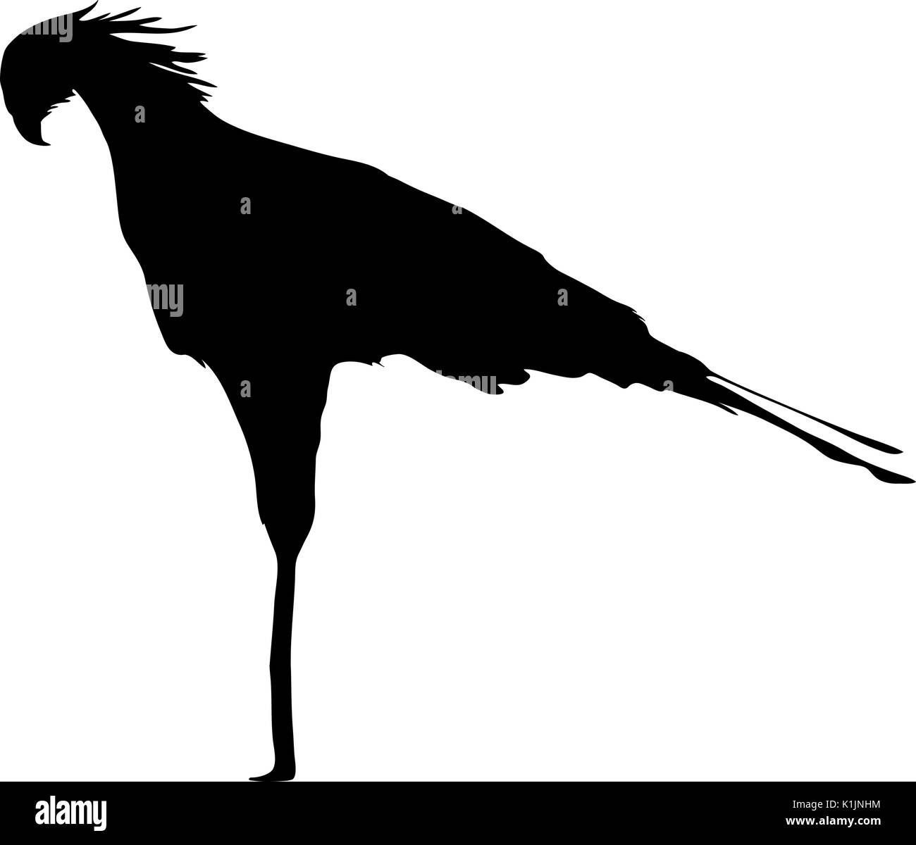 Blick auf die Silhouetten von einer Sekretärin Vogel Stock Vektor