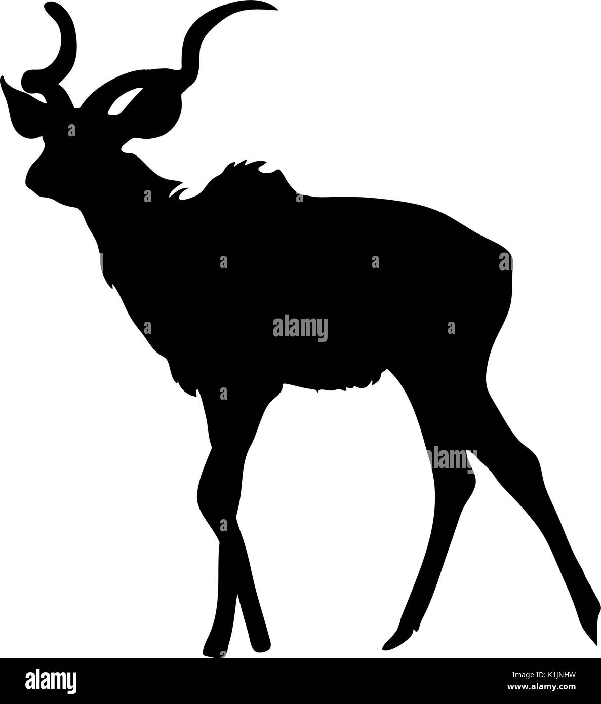 Blick auf die Silhouette eines Kudus Stock Vektor