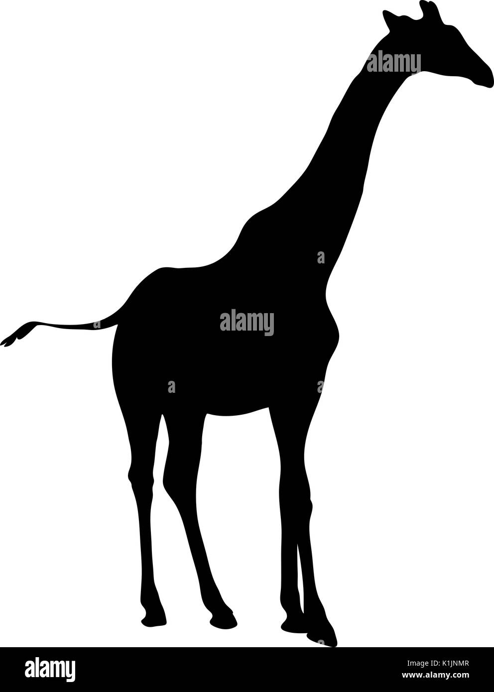 Blick auf die Silhouette einer Giraffe Stock Vektor