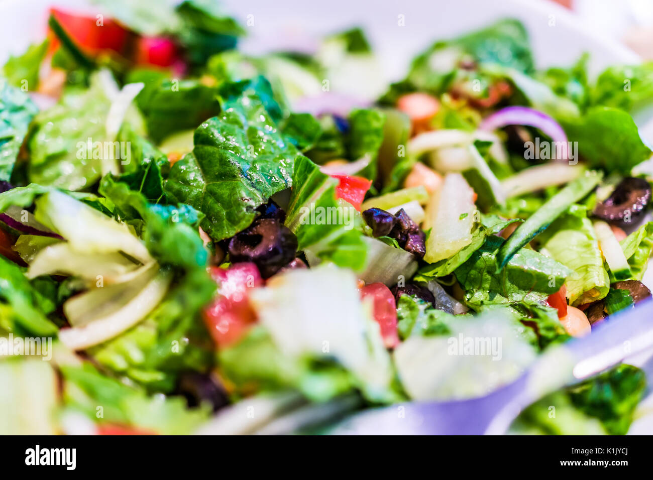 Makro Nahaufnahme von Haus Salat in weißer Teller mit grünen Römersalat, Oliven und Tomaten Stockfoto