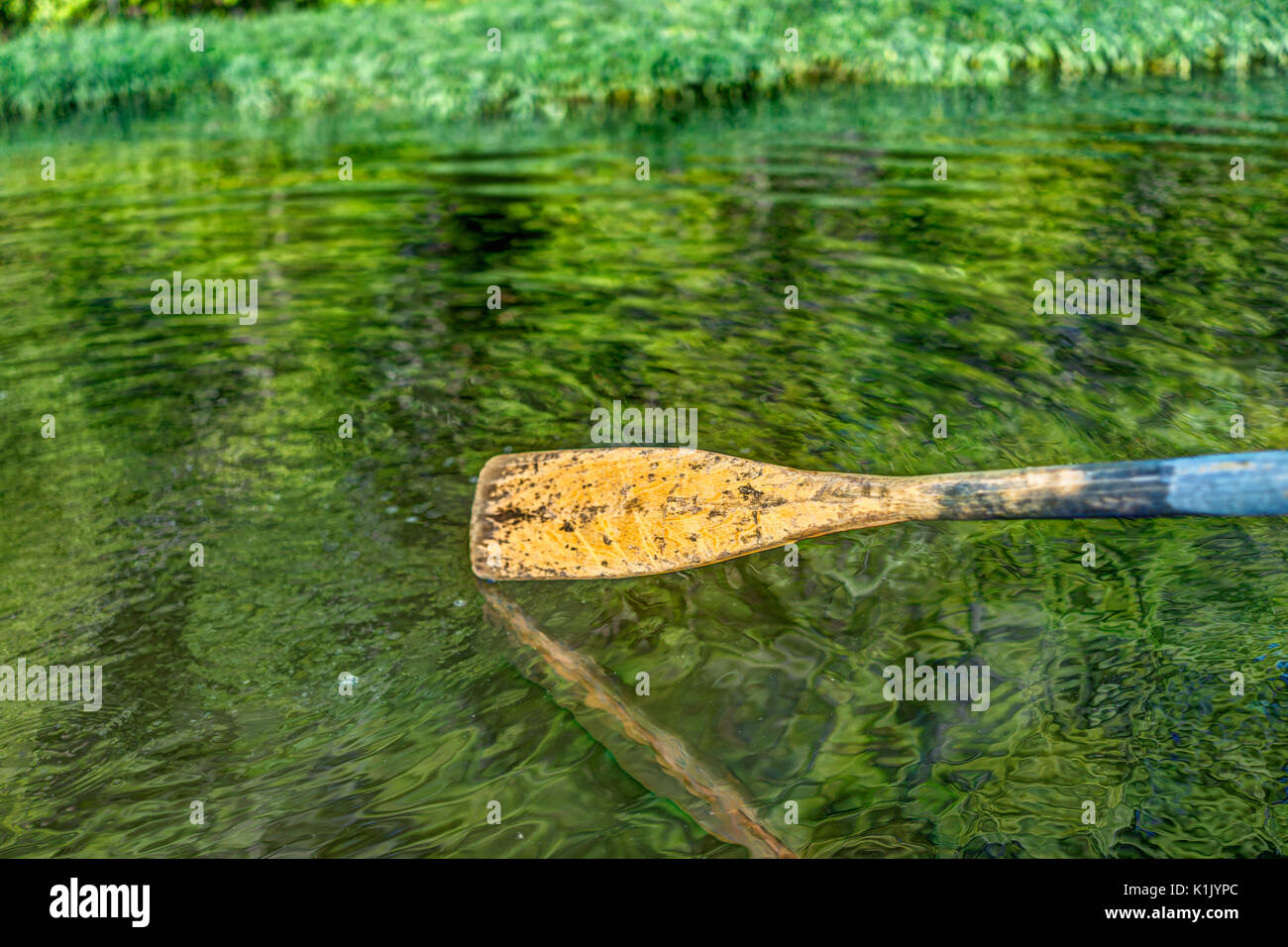 Nahaufnahme der Ruder Paddel ab Zeile Boot bewegen im Wasser am grünen ...