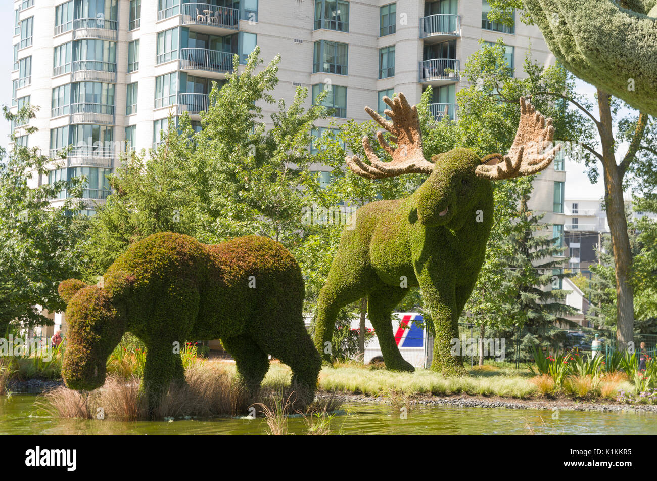 MosaïCanada 150, ist eine Feier der 150 Jahre Eidgenossenschaft Kanadas mit mosaïculture aus den Provinzen, Territorien, erste Nationen und China. Stockfoto