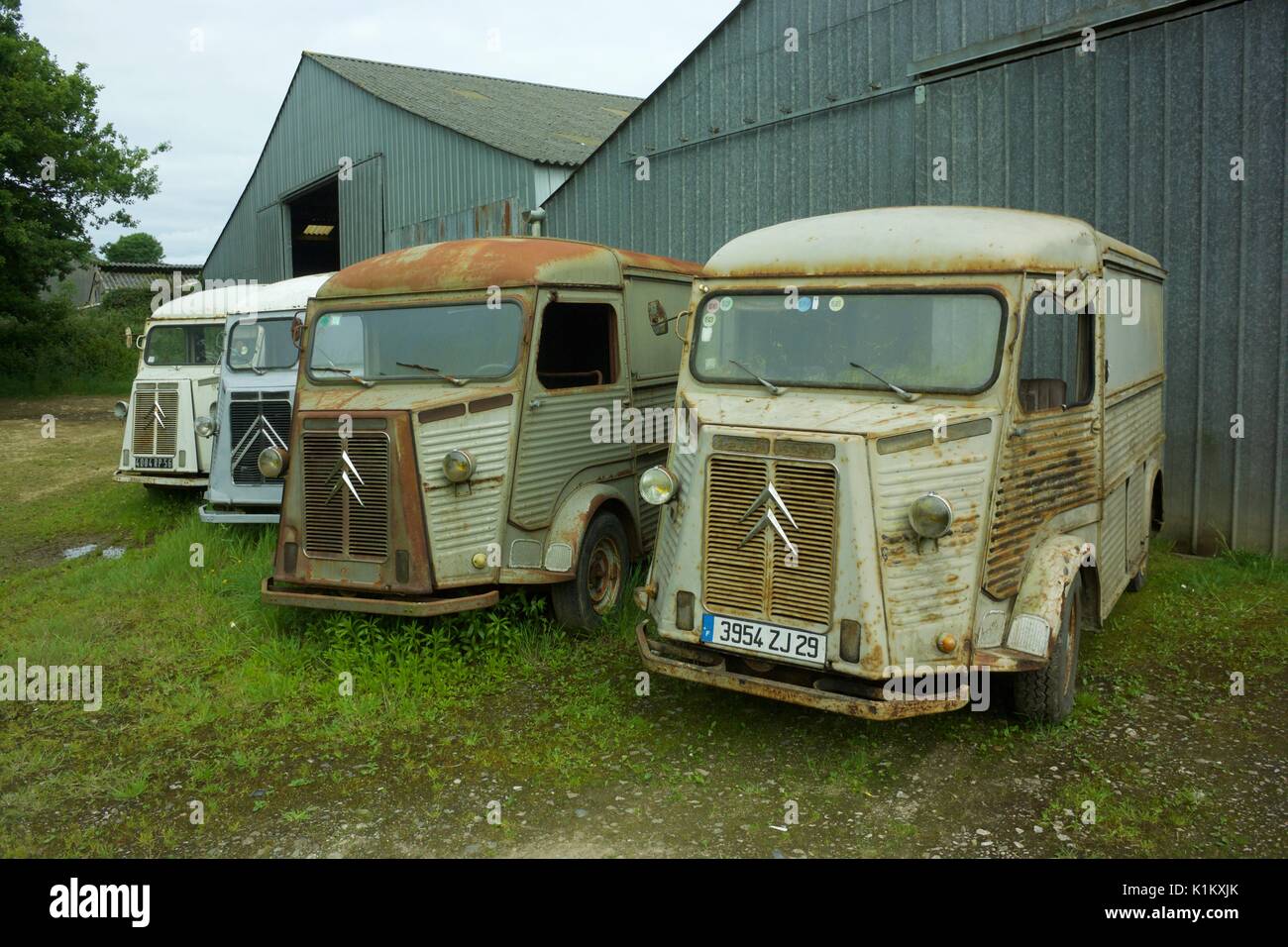 Eine Linie der Oldtimer Citroen H Vans Stockfoto
