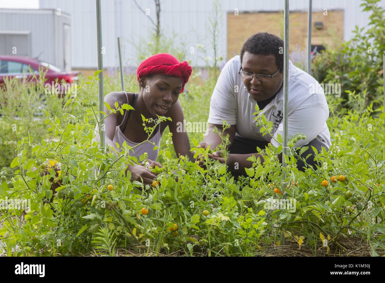 Studenten der Detroit Community School in eine motivationale Sommer teilnehmen, Arbeitsprogramm, in dem sie leben, Arbeit und unternehmerische Fähigkeiten in einem unternehmerischen Inkubator Typ Umgebung zu lernen. Studenten in den Gartenbau Programm. Stockfoto