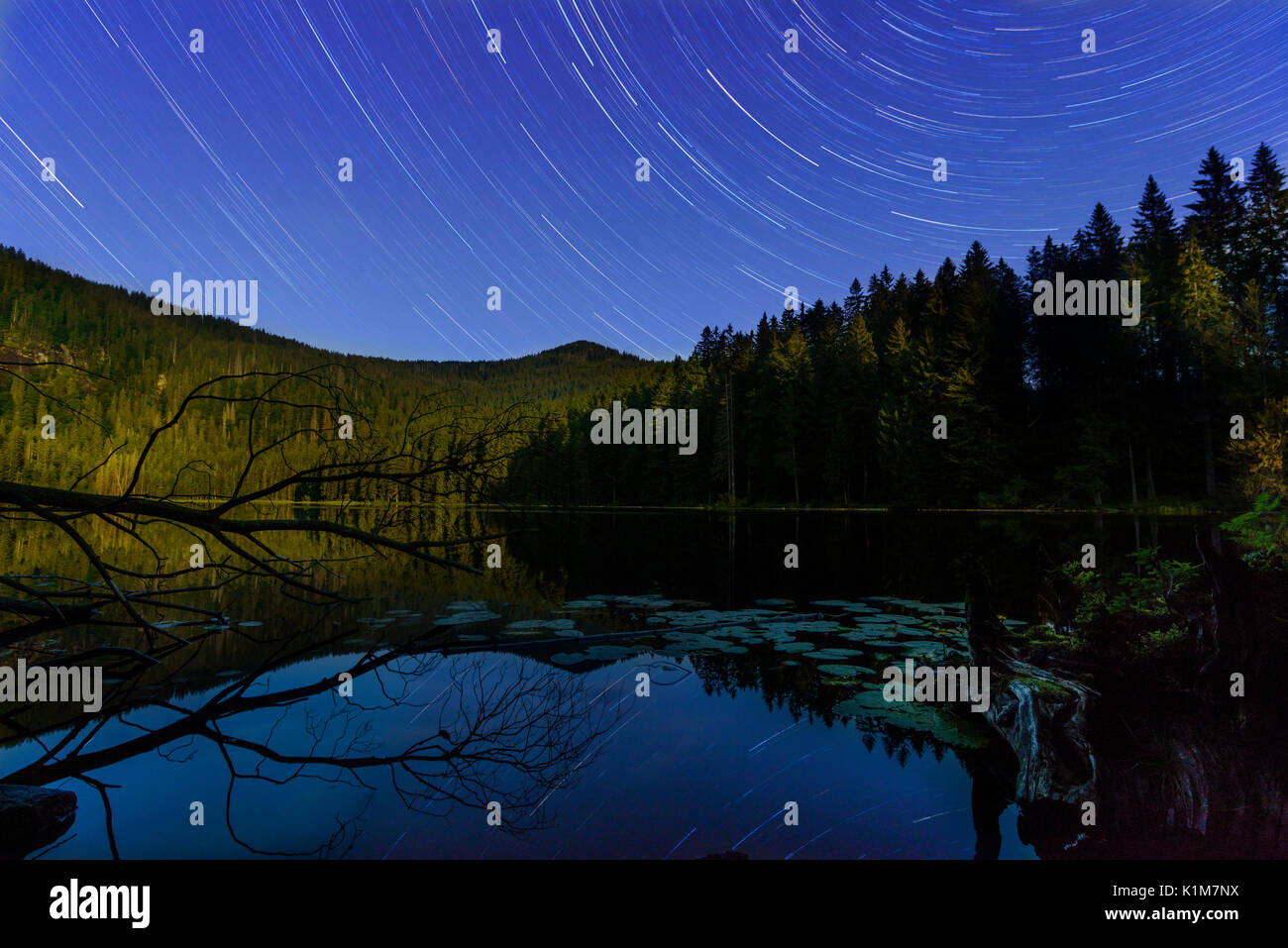 Großer Arbersee, Night Shot mit sich bewegenden Sternen- und Mondlicht, Nationalpark Bayerischer Wald, Bayern, Deutschland, Stockfoto