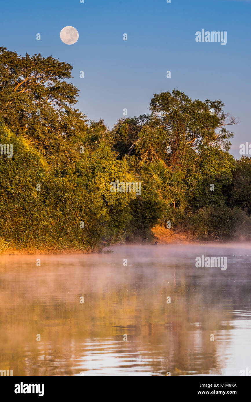 Vollmond und Morgennebel bei Sonnenaufgang über den Rio Negro im südlichen Pantanal, Fazenda Barranco Alto, Pantanal Stockfoto