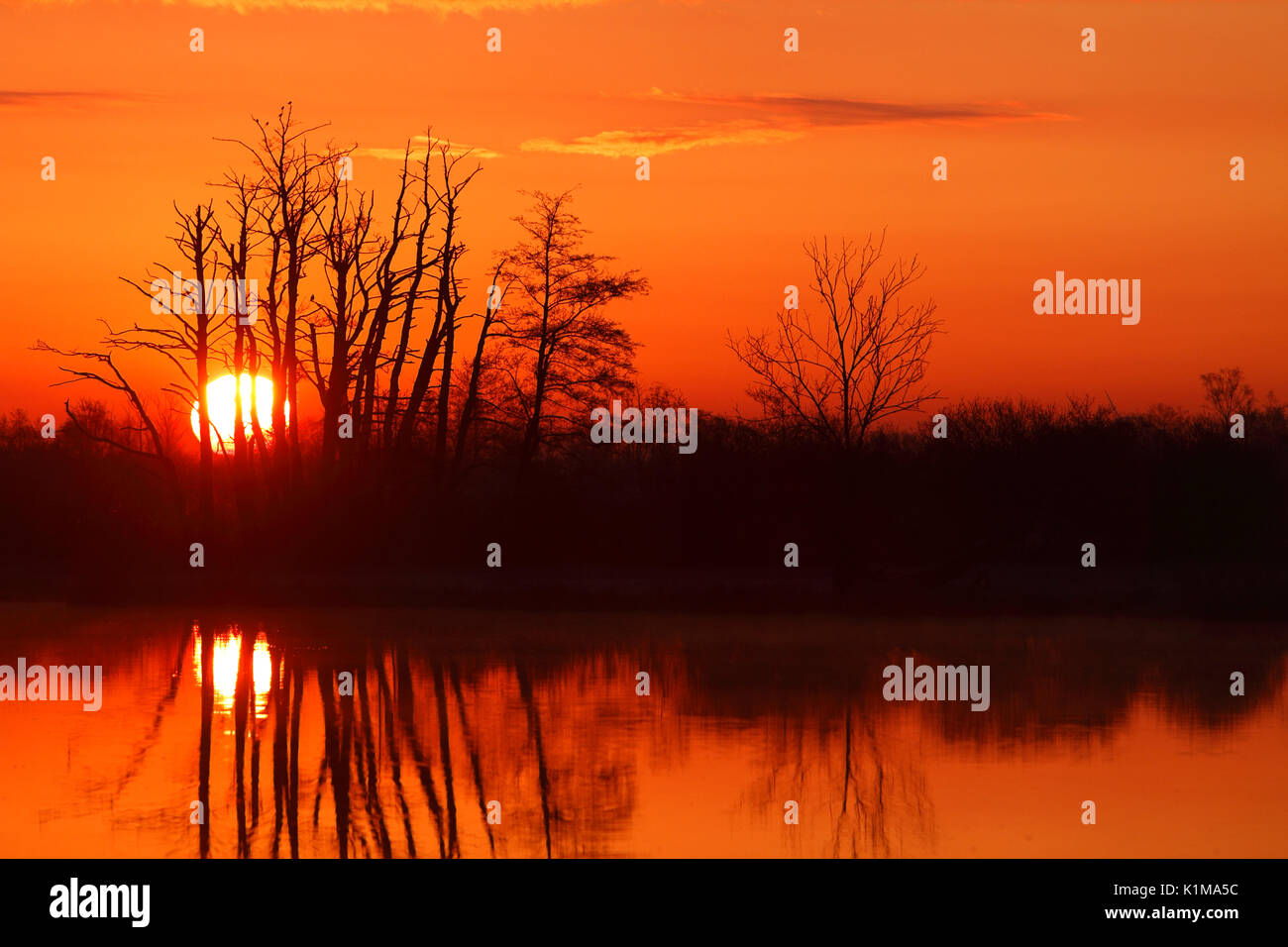 Sonnenaufgang über die Peene, Naturpark Fluss Flußlandschaft Peenetal, Mecklenburg-Vorpommern, Deutschland Stockfoto