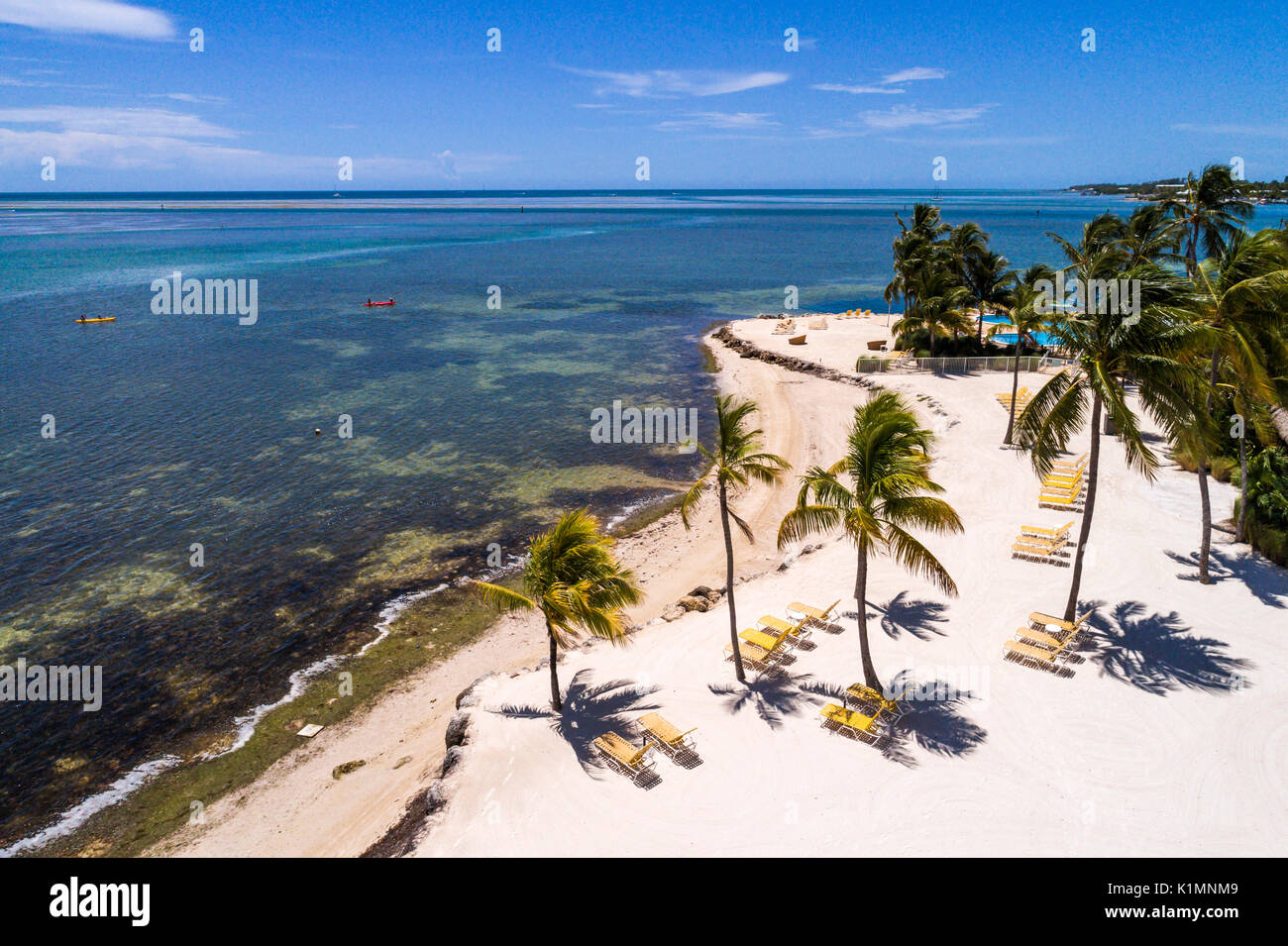 Florida, Florida Keys, Upper, Islamorada, Whale Harbour, Atlantischer Ozean, Windley Key, Luftaufnahme von oben, FL17081840D Stockfoto