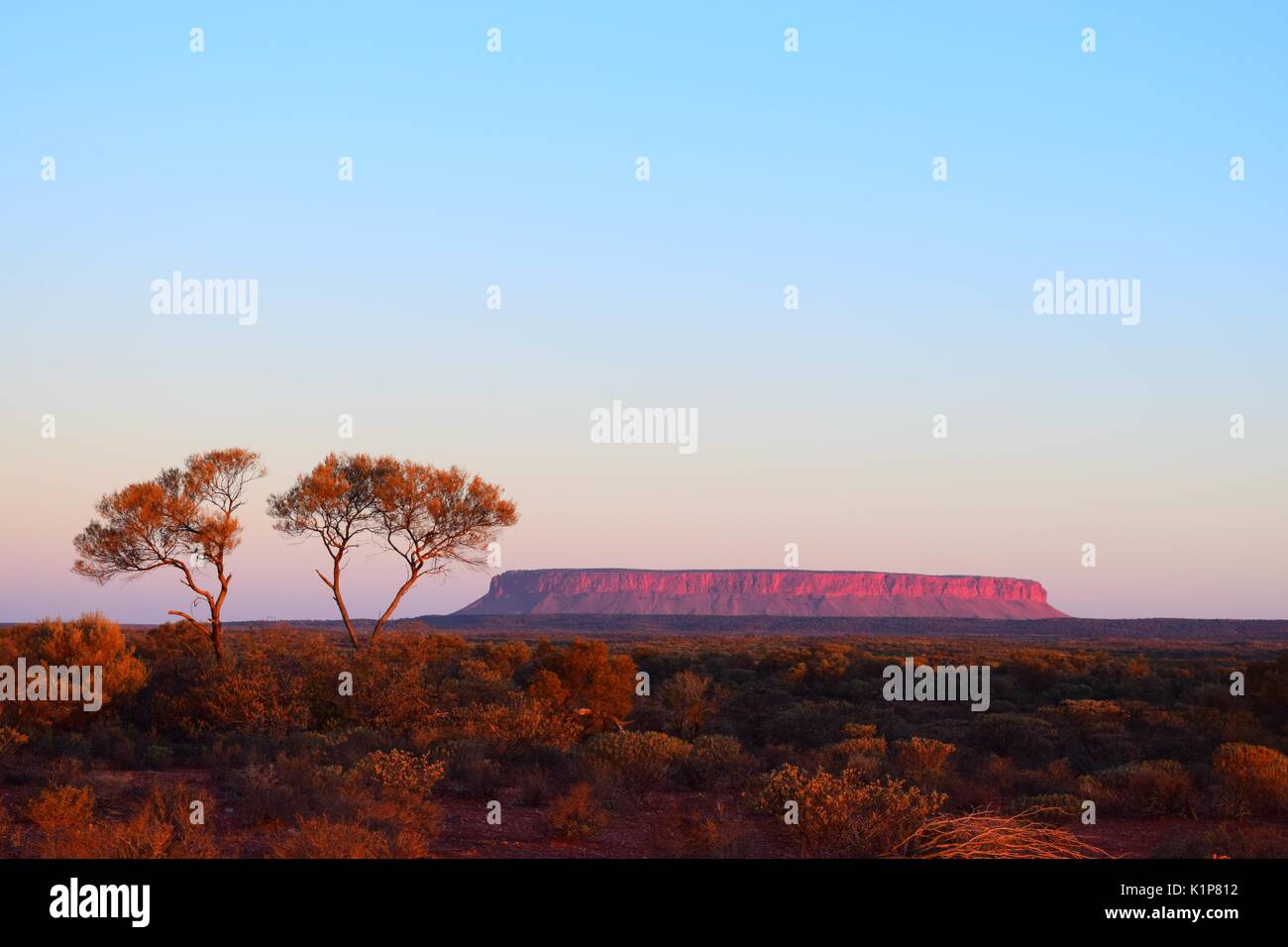 Mount Conner, Outback Australien Stockfoto