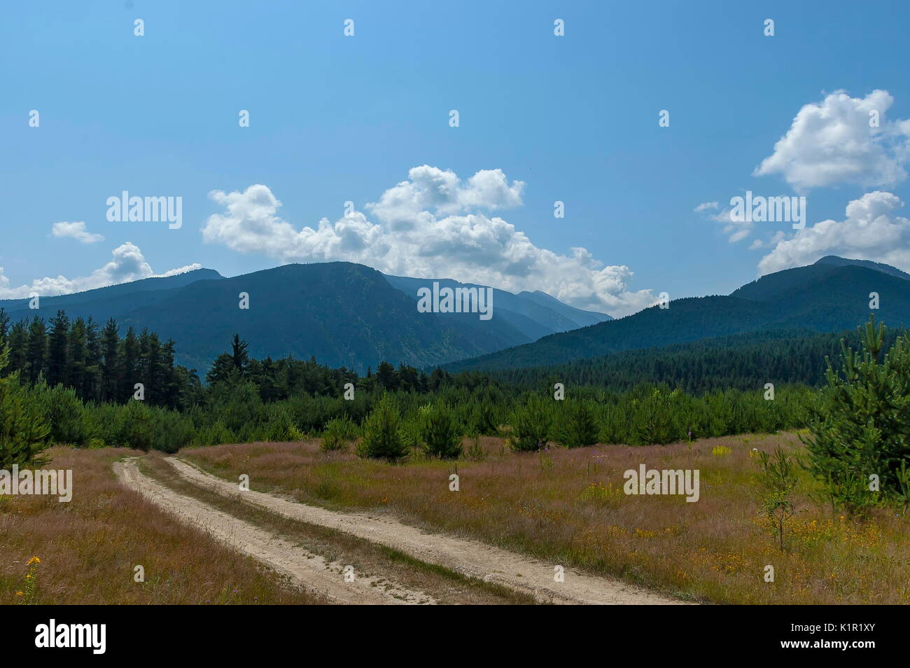 Majestic Mountain Top mit Nadelwald, Glade und Pfad überwachsen, Rila Gebirge, Bulgarien Stockfoto