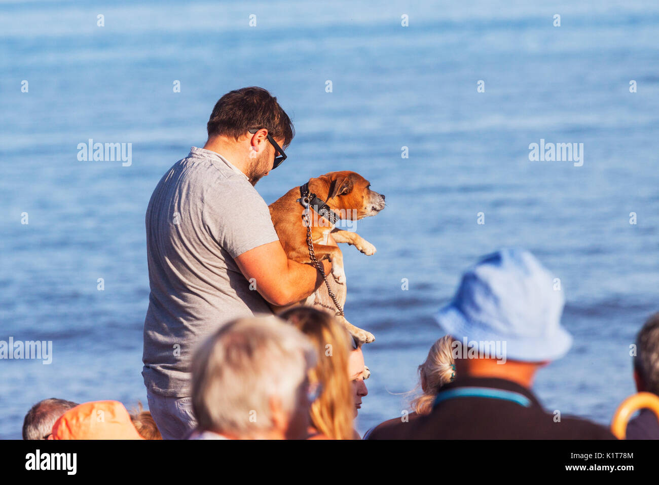 Ein Mann trägt ein Hund in einem überfüllten Strand, Sidmouth, Devon. Stockfoto