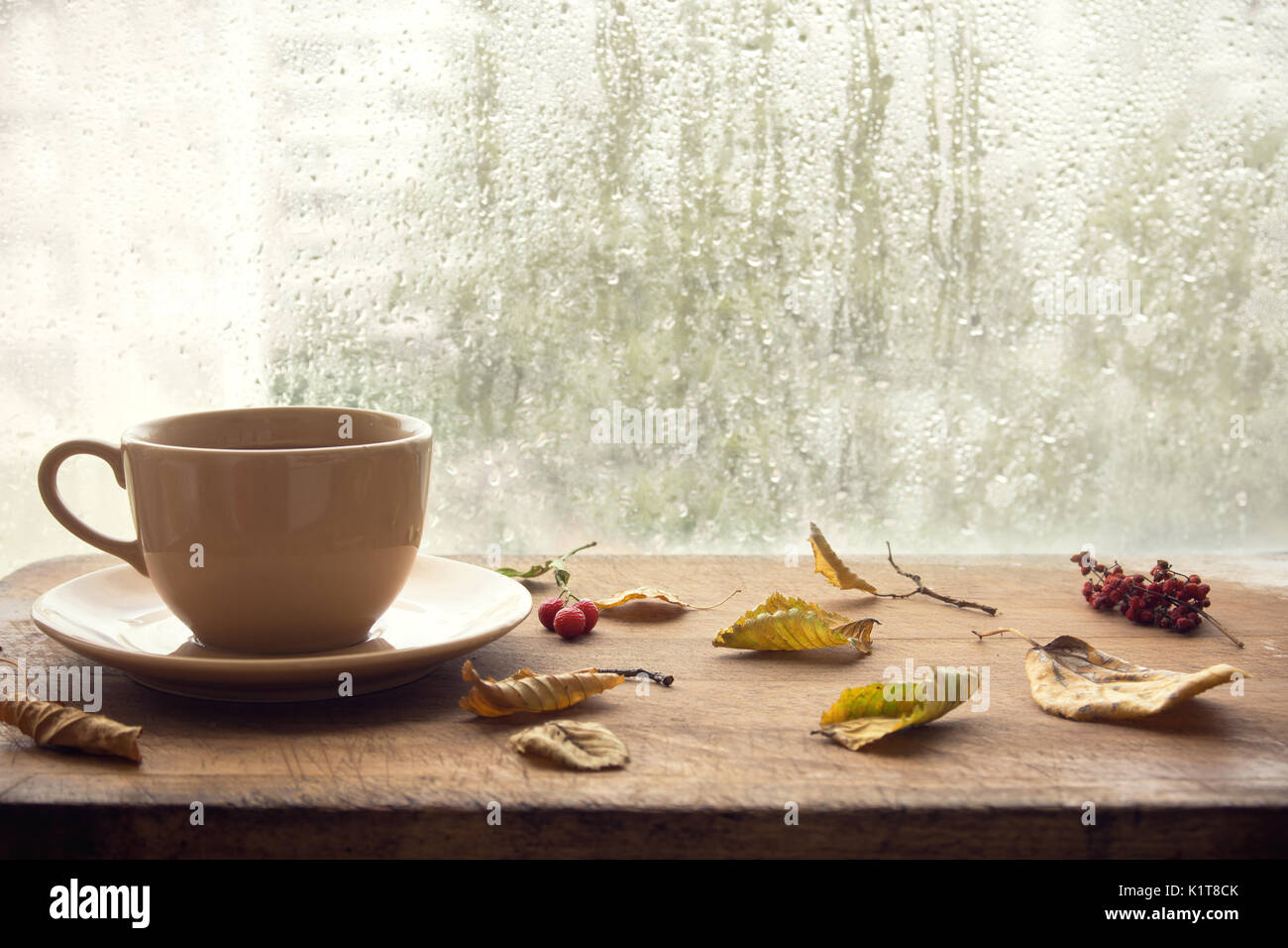 Tasse herbst Tee (Kaffee, Schokolade) und Gelbe Laub in der Nähe eines Fensters, kopieren. Heiße Getränke für den Herbst kalten regnerischen Tagen. Hygge Konzept, Herbst moo Stockfoto