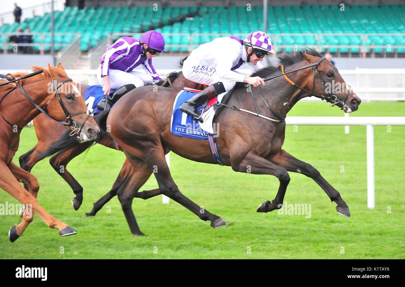 Warme Stimme geritten von Kevin Manning gewinnen Die irische Hengst Farmen EBF Premier Baumschule Behinderung bei Tipperary Crystal Renntag um Curragh Racecourse, County Kildare. Stockfoto