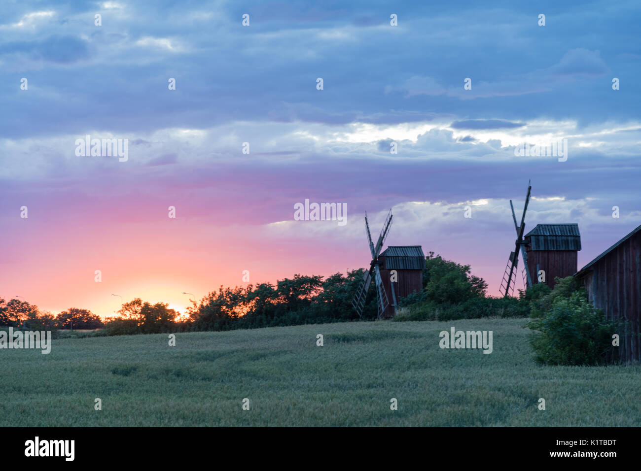 Traditionellen Windmühlen von Sonnenuntergang an der schwedischen Insel Oland Stockfoto