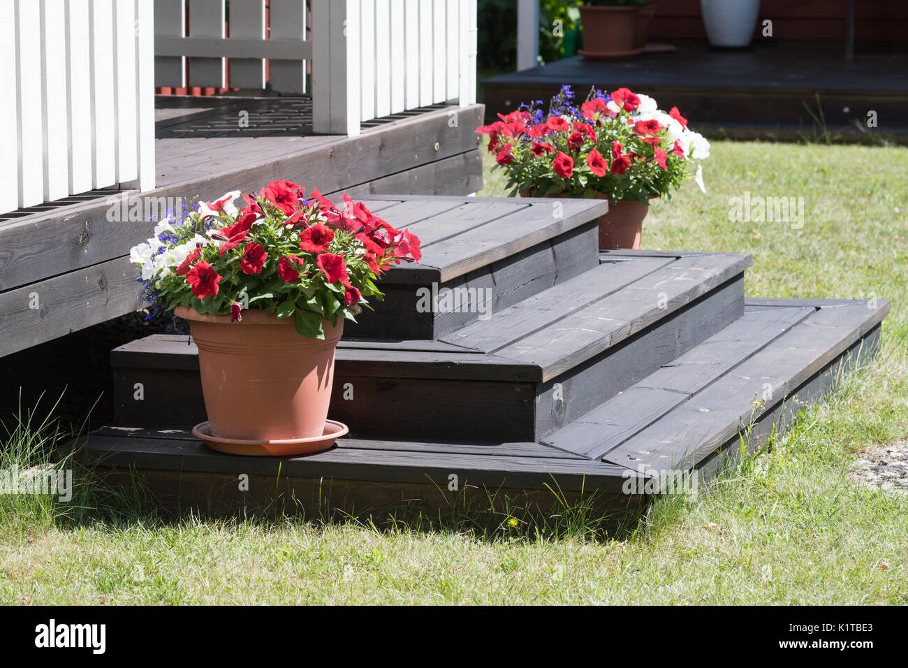 Blumentopf Dekorationen auf hölzerne Treppe in einem Garten Stockfotografie