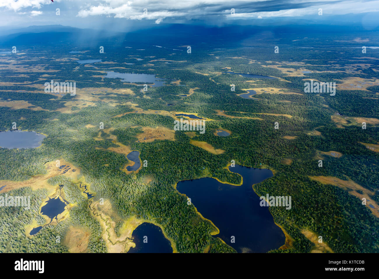 Luftbild viele Seen und Teiche in der Taiga Forest Region