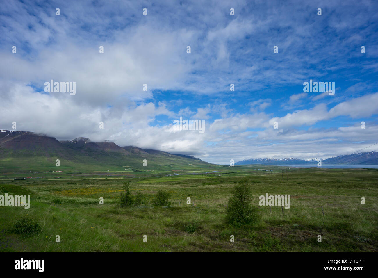 Island - Endlose grüne Landschaft mit Schnee bedeckte Berge Stockfoto