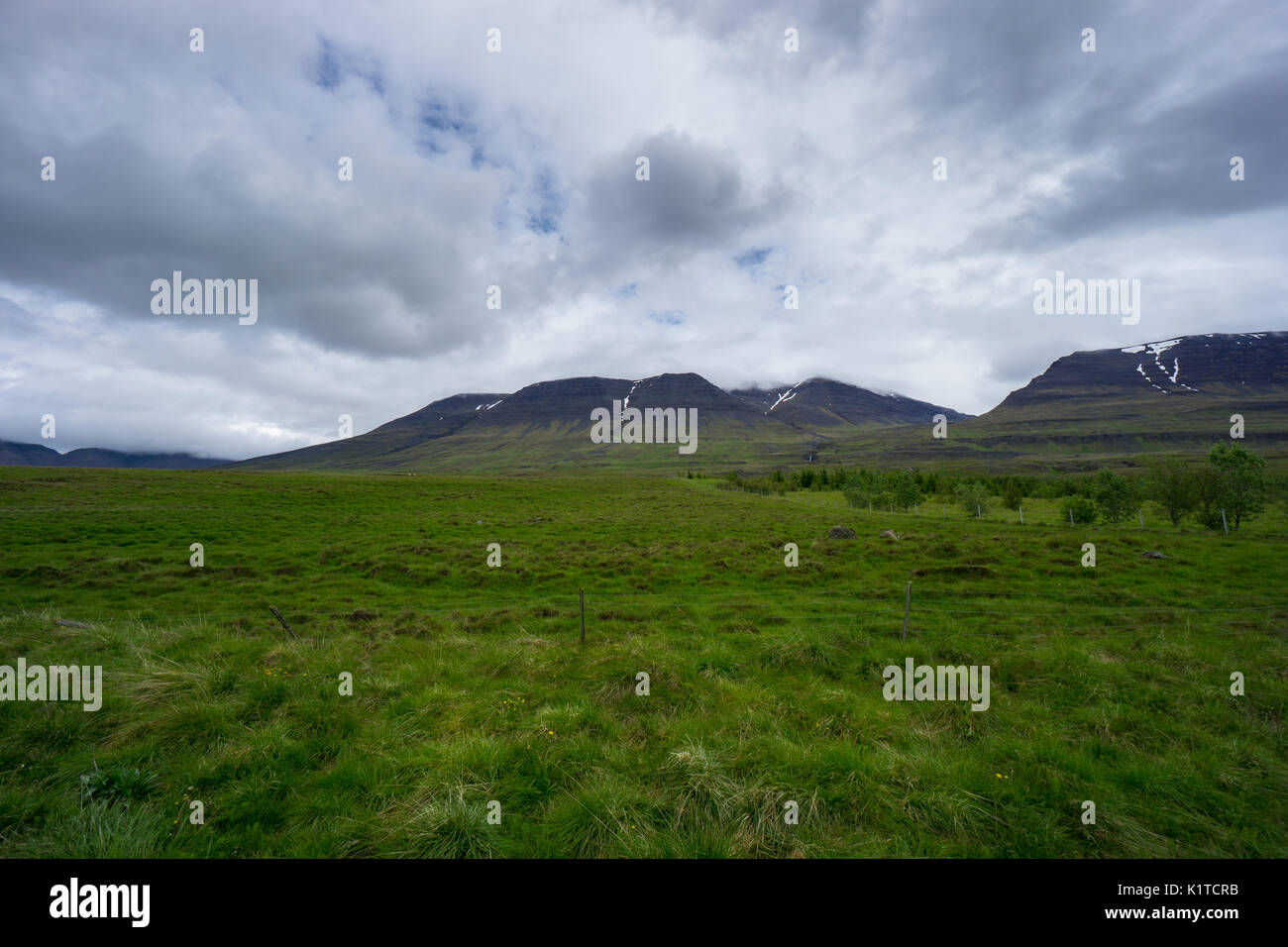 Island - verschneite Berggipfel hinter grünen Felder und Bäume im regnerischen Wolken Stockfoto