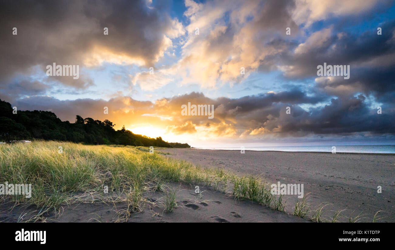 Sonnenuntergang über Safed Strand, Taranaki, Neuseeland Stockfoto